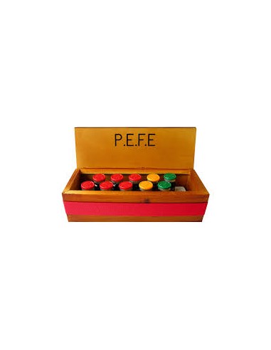 TTO P.E.F.E FLASH